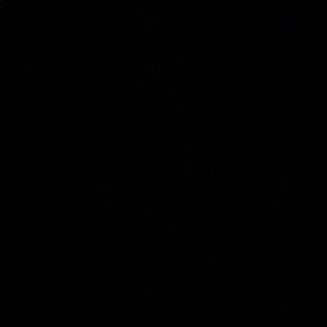 Meet your Posher, Travis